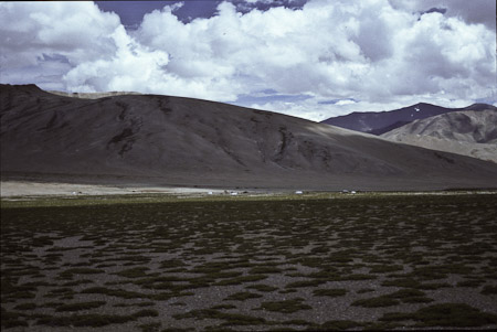 Norbo 1995 Heimkehr der Ziegen und Schafe, Camp und Nomadenzelte